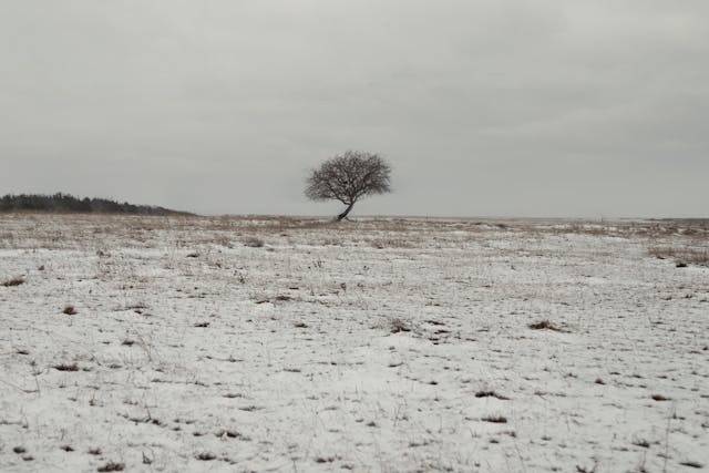 Coping with the Death of a Loved One (Including Suicide), support for grief and bereavement